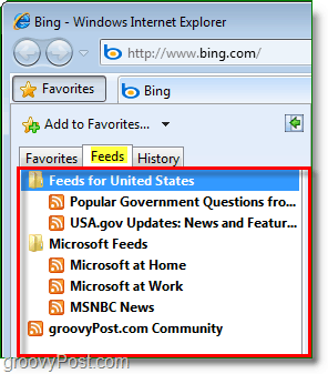 Die allgemeine Feed-Liste in der Favoritenleiste des Internet Explorers