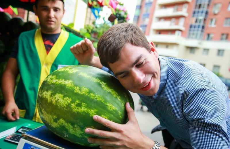 wie man saftige Wassermelone versteht