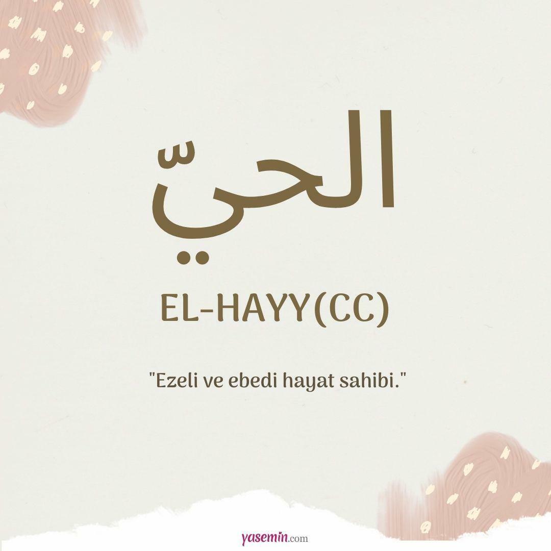 Was bedeutet al-Hayy (cc)?