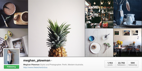 Meghan Pflüger Instagram Profil