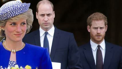 Beschuldigen Sie die Fürsten der BBC... Prinz William: Dieses Interview hat unsere Familie getrennt!