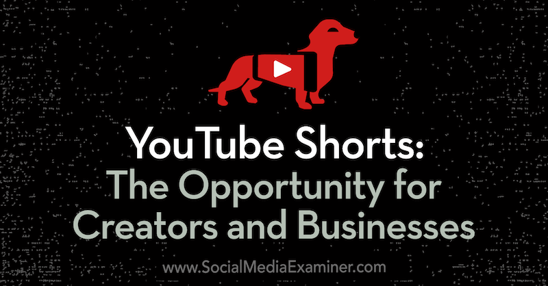 YouTube-Kurzfilme: Die Chance für Schöpfer und Unternehmen: Social Media Examiner