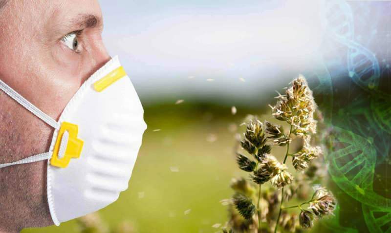 Warum begann die Pollenallergie früh!