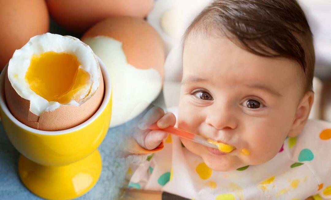 Welche Konsistenz werden Babys Eier gegeben? Wie man Eier für Babys kocht?