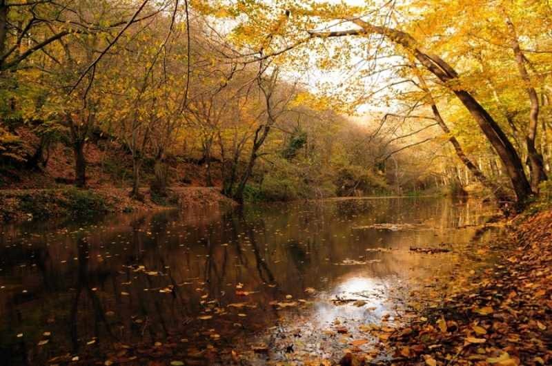 Herbstwanderung im Belgrader Wald