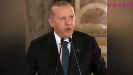 Präsident Erdoğan: Die Künstler, die ihre politische Seite in die Polemik gesteckt haben, haben uns verärgert