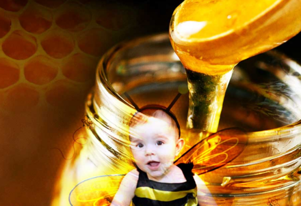 sollte Babys Honig gegeben werden?