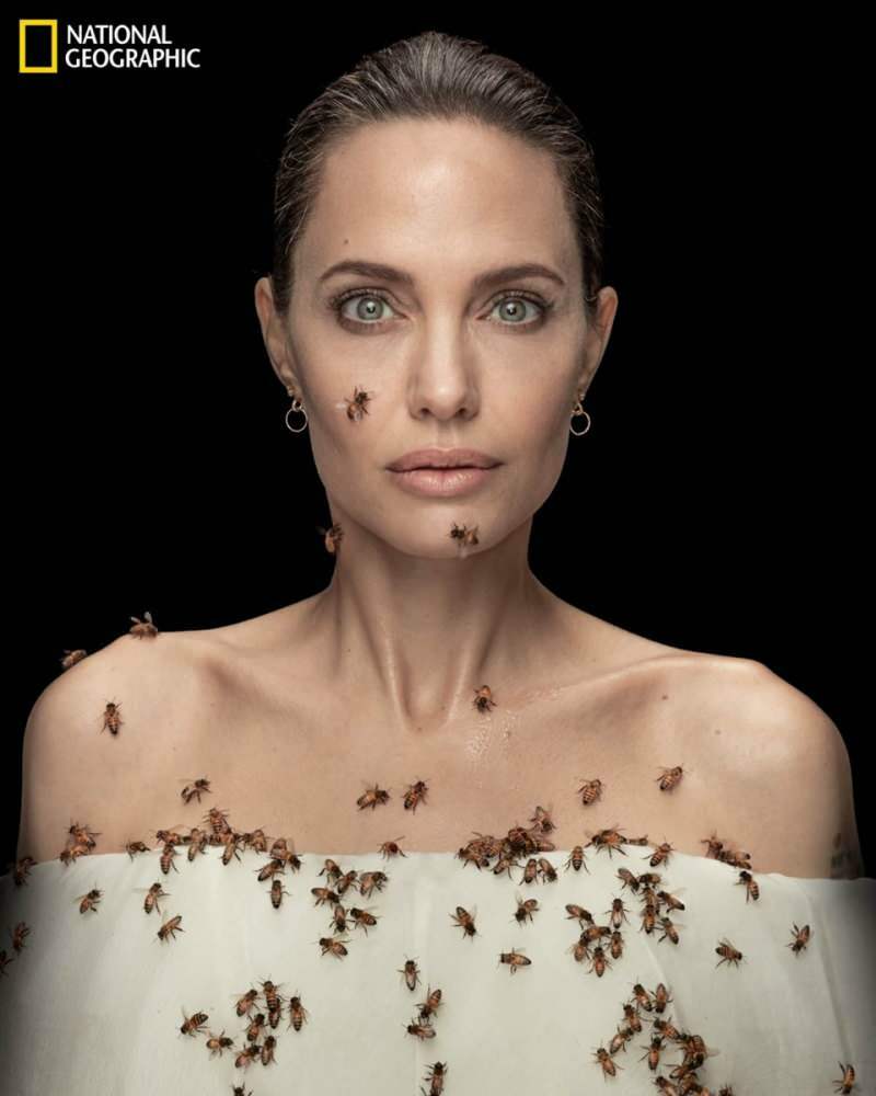 Angelina Jolie in Linse mit Bienen für Bienen!