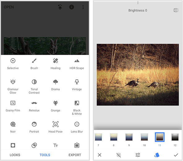 Ein Snapseed-Menü links zeigt 20 verschiedene Werkzeuge, und ein Snapseed-Filterbeispiel rechts zeigt a Foto von zwei wilden Truthähnen, die im goldenen Gras gehen, und ein Filtermenü am unteren Rand eines mobilen Bildschirms.