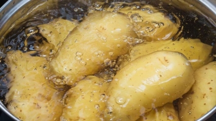 Wie konsumiere ich rohen Kartoffelsaft zum Abnehmen?