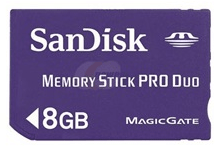 Dandisk-Speicherkarte 8 GB