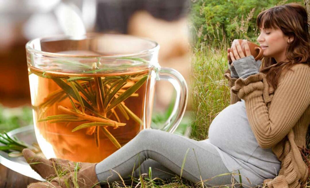Können Schwangere Wintertee trinken? Welcher Tee sollte in der Schwangerschaft getrunken werden? Wintertees für Schwangere