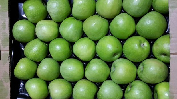 Wofür ist grüner Apfel gut?