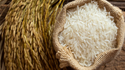 Wie wird das Beste aus Reis verstanden? 
