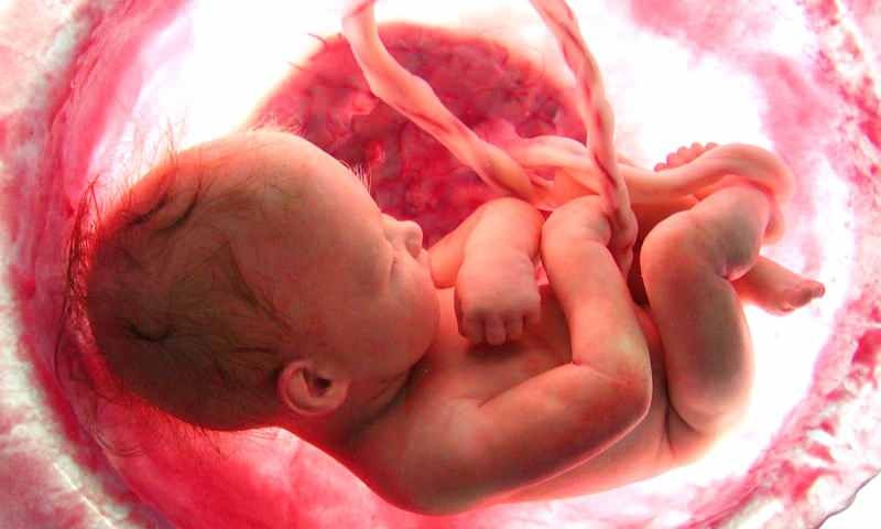 Geburt eines Babys im Mutterleib