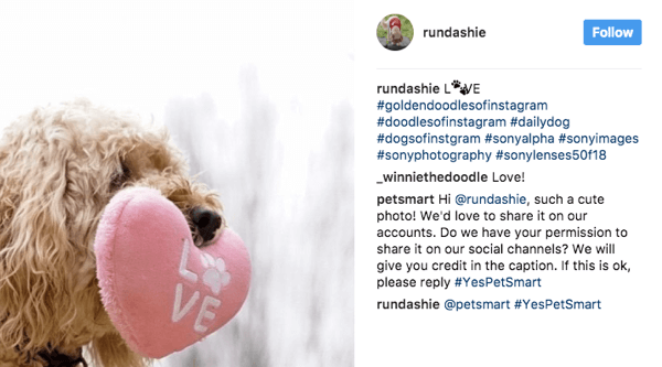 PetSmart liest eine Vielzahl von Hashtags für Haustiere durch und bittet die Fans um Erlaubnis, relevante Bilder für ihr Marketing zu verwenden.