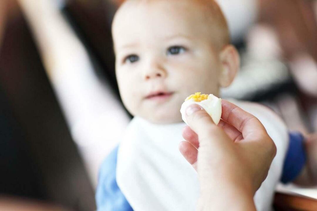 Baby isst Ei