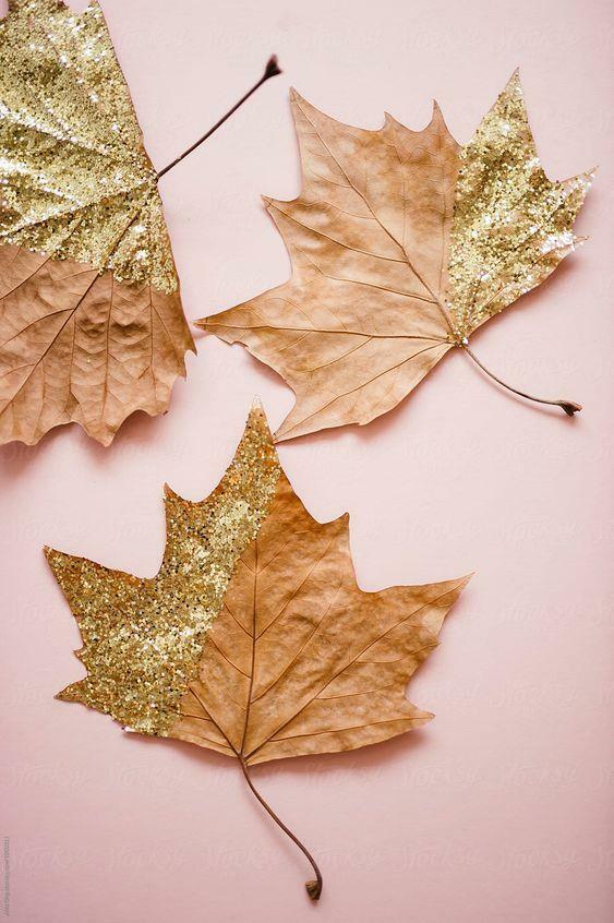 Wanddekoration mit getrockneten Blättern