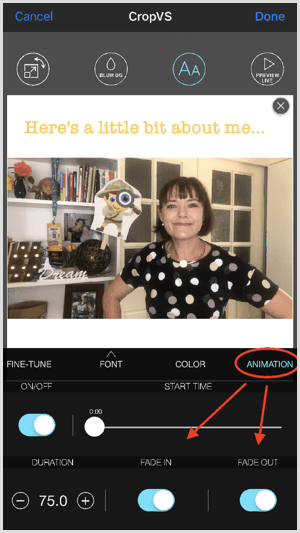 Tippen Sie auf Animation, um die Ein- und Ausblendeinstellungen in CropVS anzupassen.