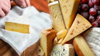 Wie wird Käse gelagert? Wie soll Käse in den Kühlschrank gestellt werden? Käsegeruch