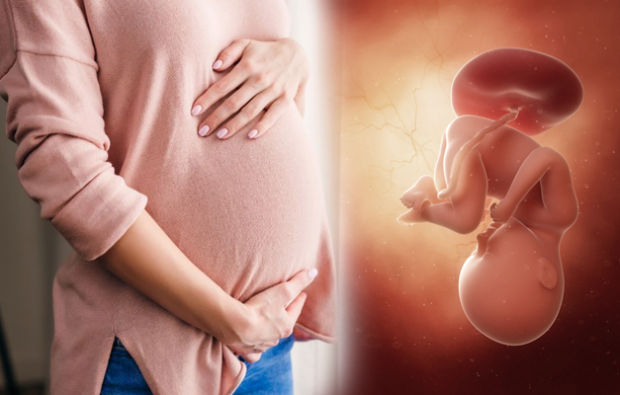 Was sind die Symptome einer Schwangerschaft? Frühschwangerschaftssymptome