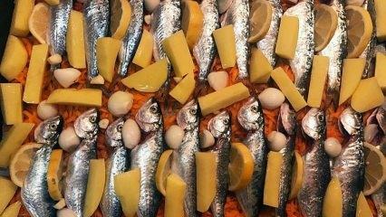 Wie kocht man Chinekop? Die einfachste Art, Chinakop-Fisch zuzubereiten! Rezept für gebackene Chinekop