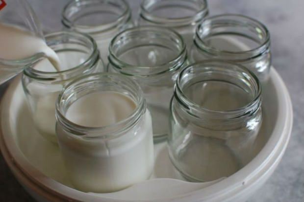 Joghurt aus Dorfmilch