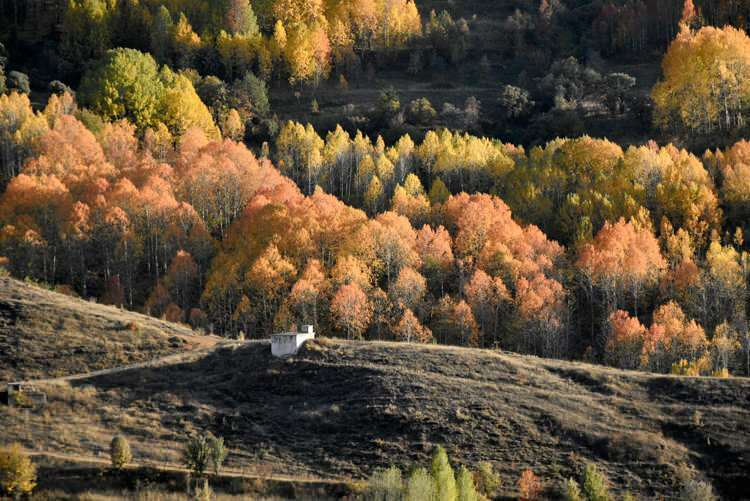 Herbstfarben bieten ein visuelles Fest in Gümüşhane und Bayburt