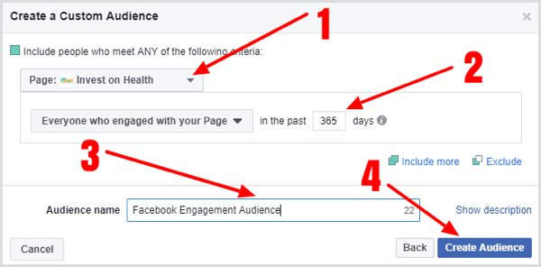Geben Sie die Details ein, um eine benutzerdefinierte Zielgruppe für Facebook-Seiten zu erstellen.