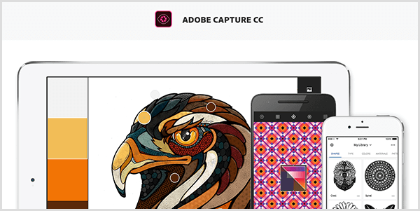 Adobe Capture erstellt eine Palette aus einem Bild, das Sie mit einem mobilen Gerät aufnehmen. Die Website zeigt eine Illustration eines Vogels und eine aus der Illustration erstellte Palette, die hellgrau, gelb, orange und rotbraun enthält.