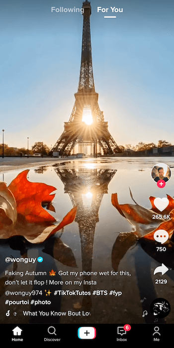 Screenshot des Tiktok-Beitrags von @ wonguy974 mit dem Titel Faking Autumn, der den Eiffelturm in der Silhouette und zeigt Die Sonne geht dahinter unter und spiegelt sich in einer Pfütze wider, die von zwei Herbstblättern am Boden des Flusses umrahmt wird Bild