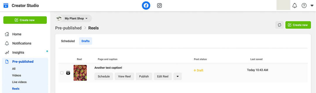 wie-man-einen-zeitplan-veröffentlicht-facebook-reels-creator-studio-erstelle-einen-effizienten-genehmigungs-workflow-mein-pflanzenshop-schritt-19