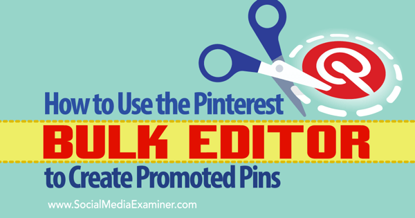 gesponserte Pins und pinterest Bulk Editor Tool