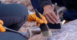 Entdeckung, die den Lauf der Geschichte verändern wird: Archäologen fanden die älteste Holzkonstruktion der Welt