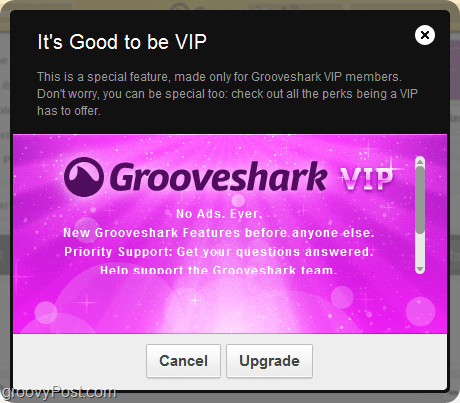 Vorteile des Grooveshark VIP-Kontos