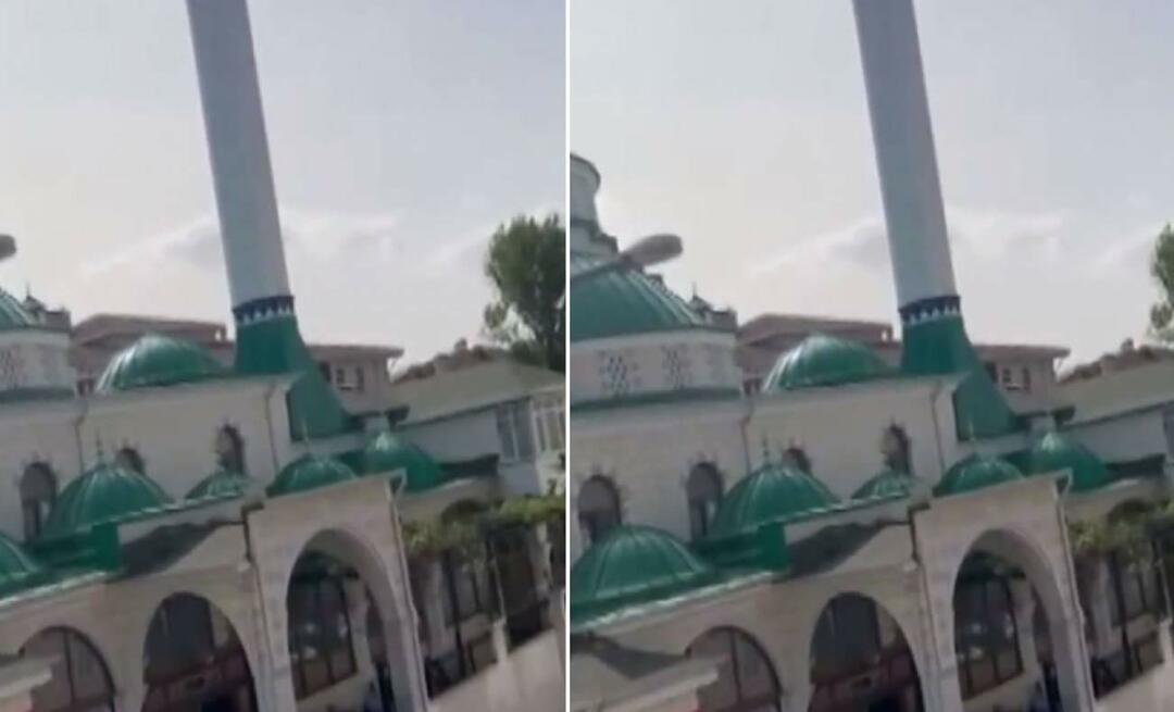 Die Ankündigung „Die Katze ist traurig“ aus der Moschee ging viral! Diese Momente, die jeden zum Lächeln bringen ...