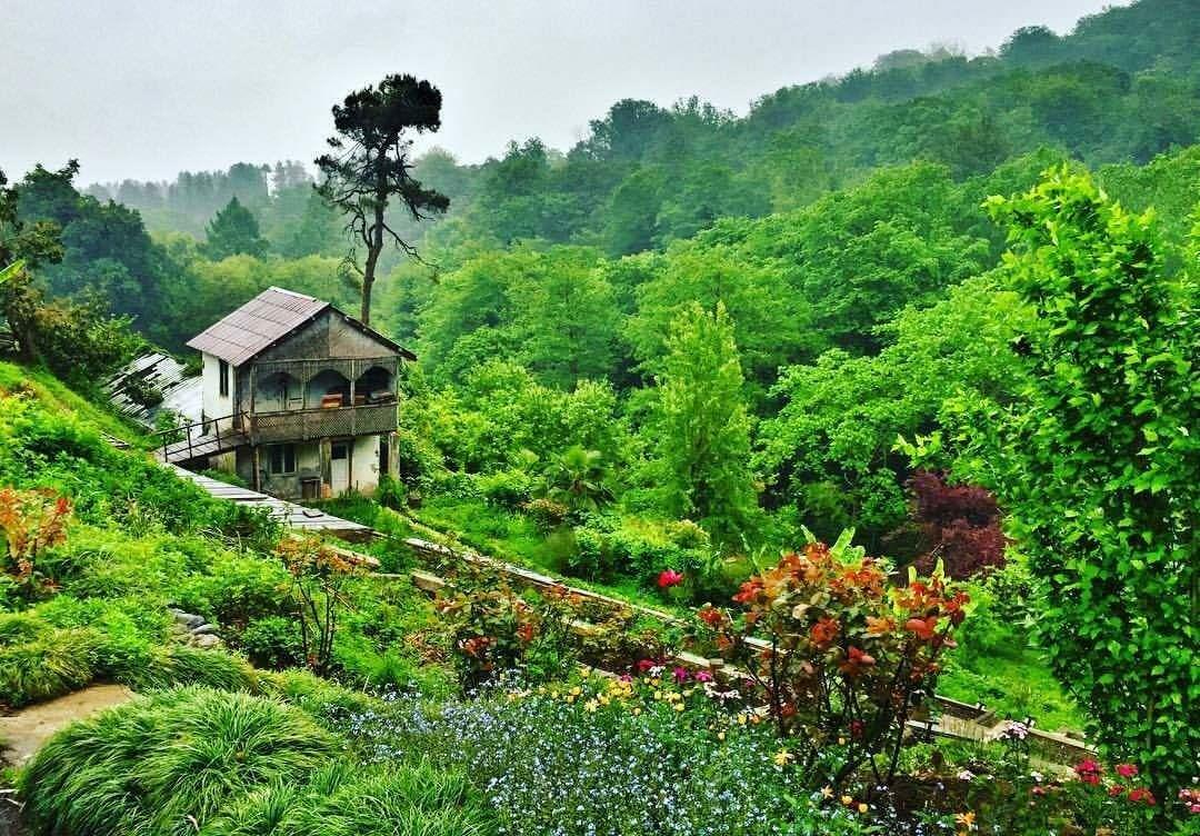 Batumi Botanischer Garten