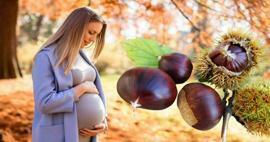 Können schwangere Frauen Kastanien essen? Vorteile des Verzehrs von Kastanien während der Schwangerschaft für Baby und Mutter
