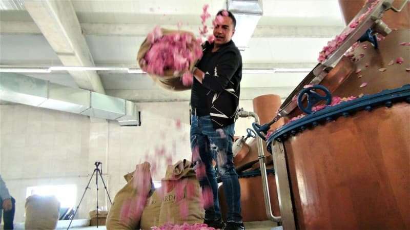 Berdan Mardini gründete in seiner Heimatstadt eine Rosenölfabrik!
