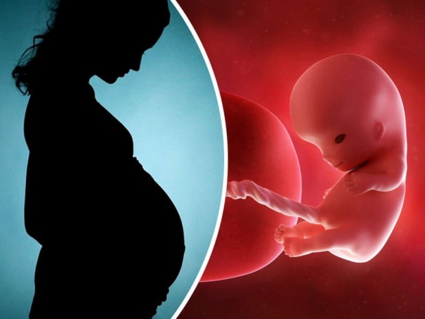 Wie wird das ungeborene Baby geboren? Schritt für Schritt Geburtsprozess ...