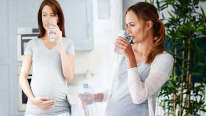 Vorteile von Trinkwasser für schwangere Frauen! Wie viel Wasser sollte während der Schwangerschaft pro Tag konsumiert werden? 