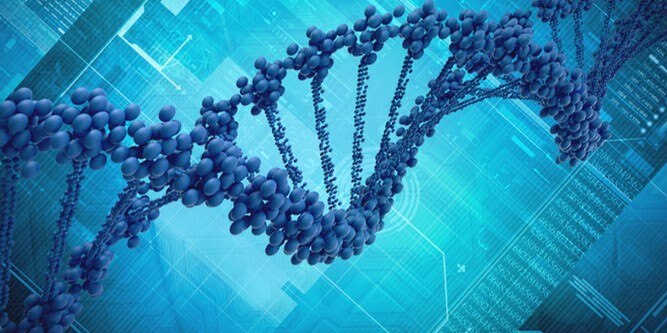 Make-up-Materialien verderben Ihre DNA!