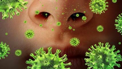 Wiederauftauchen: Was ist das Sars-Virus und was sind seine Symptome? Wie wird das Sars-Virus übertragen?
