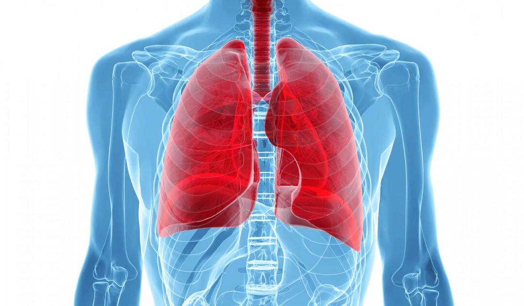 Was ist das White-Lung-Syndrom und was sind seine Symptome? Was ist die Behandlung für das White-Lung-Syndrom?