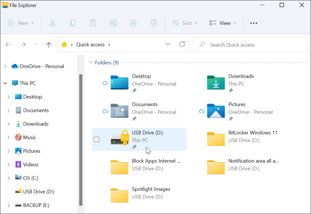 Encryption Drive Icon Datei-Explorer