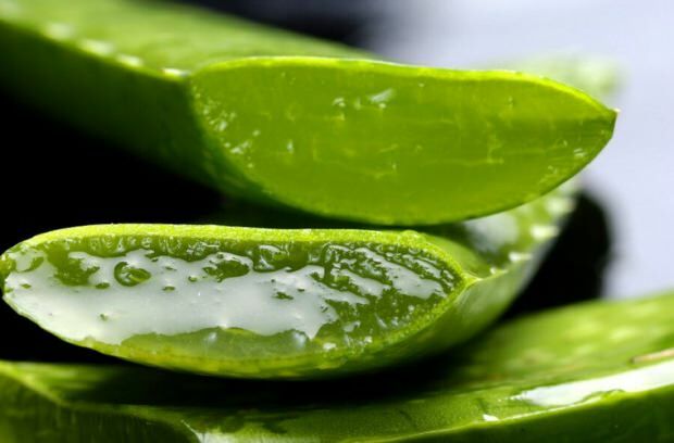 Was ist Aloe Vera? Was sind die Vorteile für die Haut? Wie wird Aloe Vera auf die Haut aufgetragen?