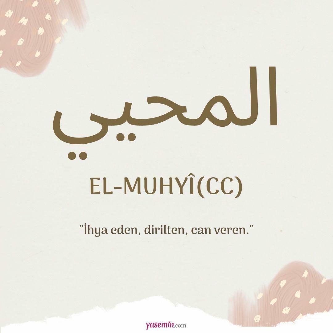 Was bedeutet al-Muhyi (cc)?