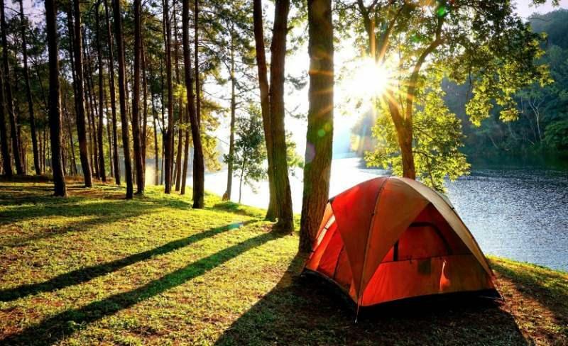 Camping im Belgrader Wald 