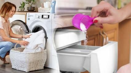 Was ist das beste Waschmittel für Weiße? Beste Waschmittelempfehlungen! Das beste Pulverwaschmittel