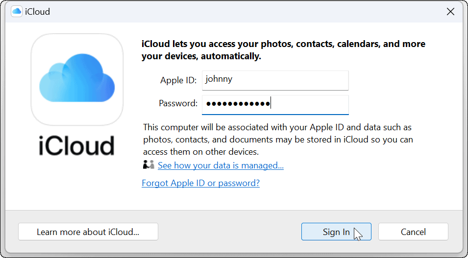 Verbinden Sie Apple iCloud mit der Windows 11 Fotos App